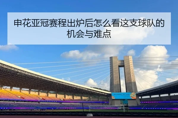 申花亚冠赛程出炉后怎么看这支球队的机会与难点